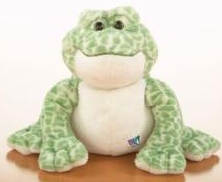 Webkinz 8.5" Spotted Frog 36ct Case